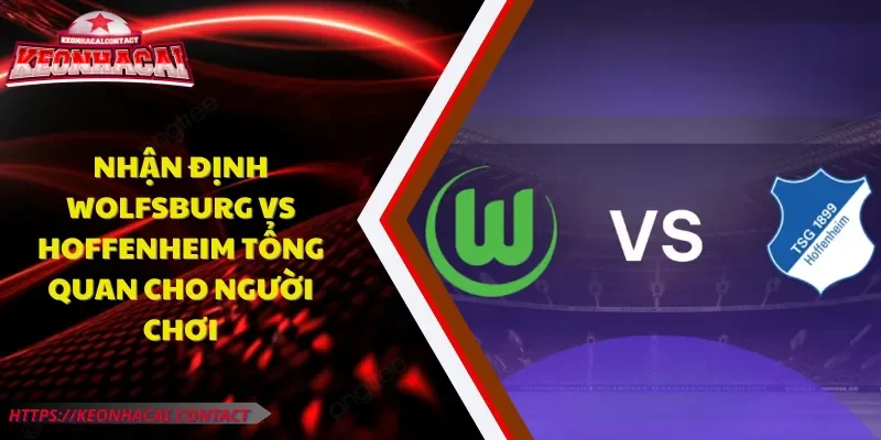 nhận định Wolfsburg vs Hoffenheim